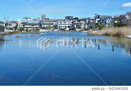 小池のある風景 小池のある風景 60164309