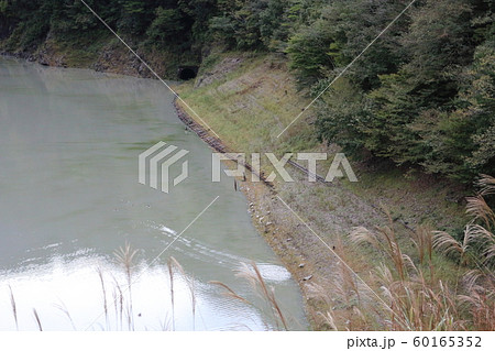 ダム湖に沈む大井川鐡道 旧井川線跡 60165352