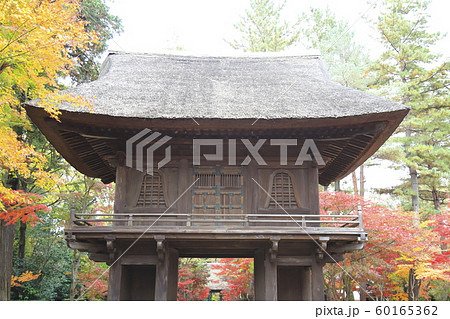 秋の平林寺　山門　埼玉県新座市　　 60165362