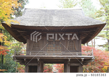 秋の平林寺 山門 埼玉県新座市 秋の平林寺 山門 埼玉県新座市 60165363