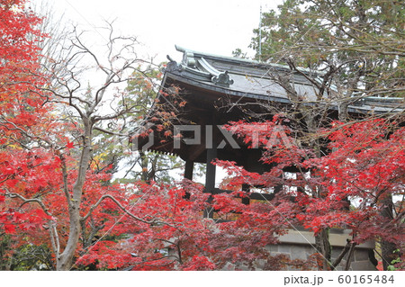 秋の平林寺　鐘楼堂　埼玉県新座市　　 60165484