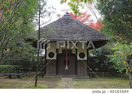 秋の平林寺 戴渓堂(たいけいどう) 埼玉県新座市 秋の平林寺 戴渓堂(たいけいどう) 埼玉県新座市 60165684