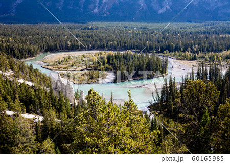 Tunnel Mountain Hoodoos Tunnel Mountain Hoodoos 60165985