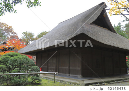 秋の平林寺　仏殿　埼玉県新座市　　　 60166438