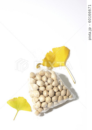 ぎんなんの袋詰め 60166671