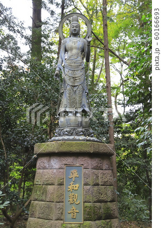 秋の平林寺 平和観音 埼玉県新座市     秋の平林寺 平和観音 埼玉県新座市     60166693