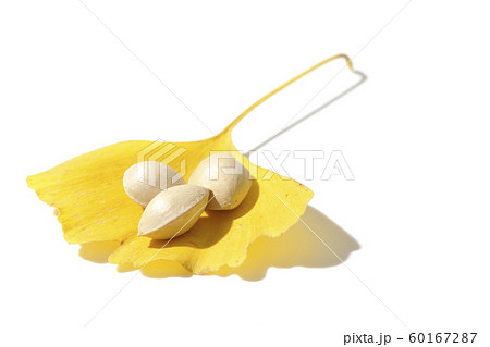 葉っぱのお皿 60167287