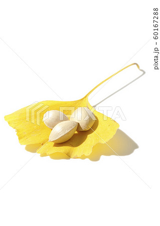 葉っぱのお皿 60167288