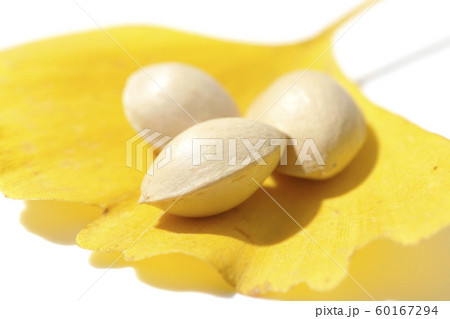 葉っぱのお皿 60167294