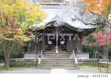 秋の平林寺　半僧坊関応殿（はんそうぼうかんのでん）　埼玉県新座市　 60167593