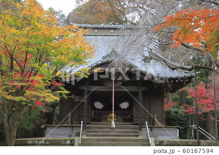 秋の平林寺　半僧坊関応殿（はんそうぼうかんのでん）　埼玉県新座市　 60167594