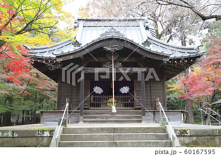秋の平林寺 半僧坊関応殿(はんそうぼうかんのでん) 埼玉県新座市 秋の平林寺 半僧坊関応殿(はんそうぼうかんのでん) 埼玉県新座市 60167595