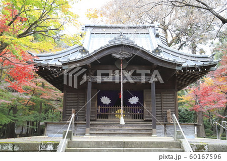 秋の平林寺 半僧坊関応殿(はんそうぼうかんのでん) 埼玉県新座市 秋の平林寺 半僧坊関応殿(はんそうぼうかんのでん) 埼玉県新座市 60167596