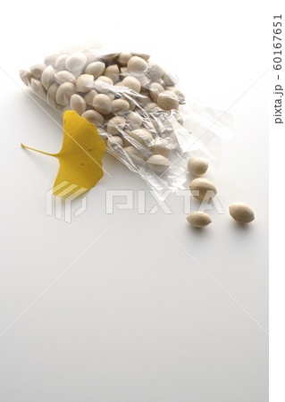 こぼれ銀杏 こぼれ銀杏 60167651