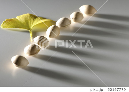 整列した銀杏 60167779