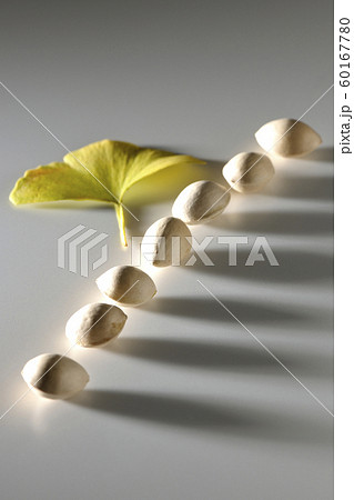 整列した銀杏 60167780