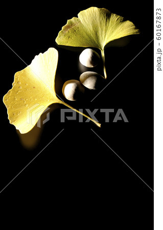 銀杏 銀杏 60167873