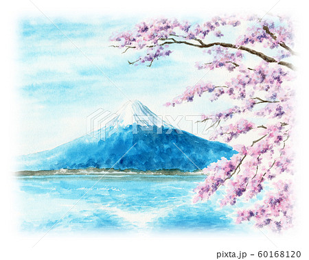 水彩で描いた富士山と桜の風景画のイラスト素材 60168120 Pixta