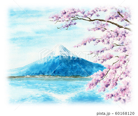 水彩で描いた富士山と桜の風景画のイラスト素材 [60168120] - PIXTA