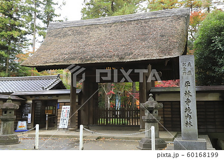 秋の平林寺　総門　埼玉県新座市　 60168199