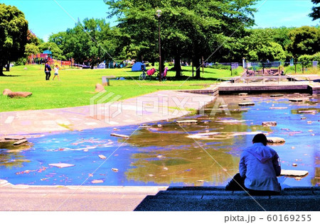 川崎大師公園日傘で本を読む女性 60169255