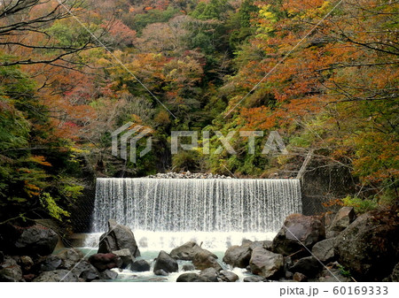 台風19号の爪痕が残る早川の渓流 台風19号の爪痕が残る早川の渓流 60169333