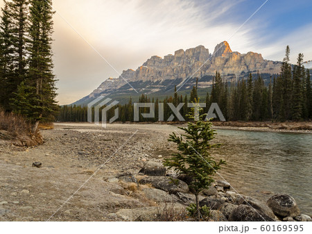 Castle Mountains and Bow River at Banff National Castle Mountains and Bow River at Banff National 60169595