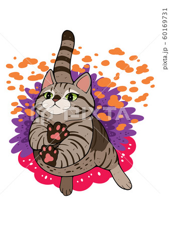 cat T cat T 60169731