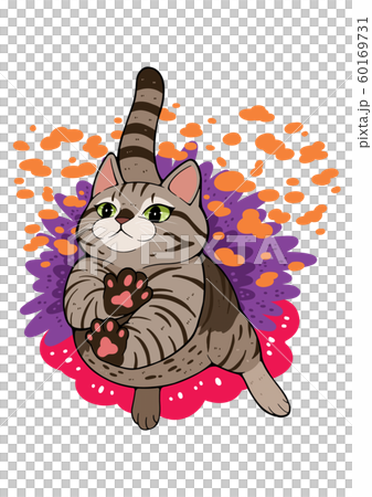 cat T cat T 60169731