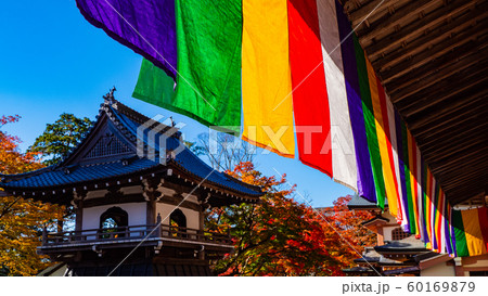 永源寺の紅葉② 永源寺の紅葉② 60169879