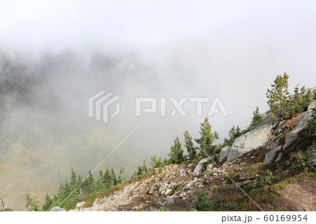 Hillside in a cloud of fog, Mt Rainier,USA Hillside in a cloud of fog, Mt Rainier,USA 60169954