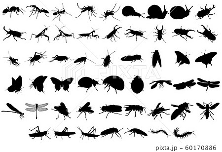 動物シルエット昆虫等のイラスト素材