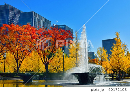 和田倉噴水公園の紅葉風景 和田倉噴水公園の紅葉風景 60172108