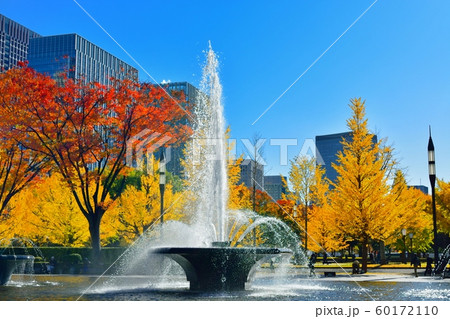 和田倉噴水公園の紅葉風景 和田倉噴水公園の紅葉風景 60172110