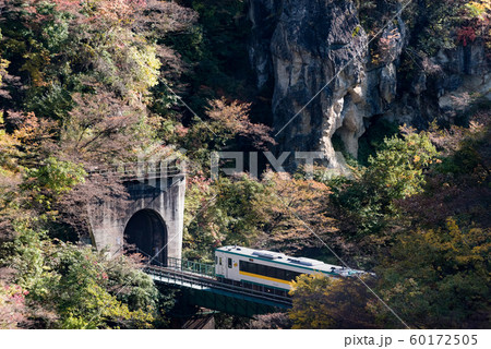 宮城鳴子峡紅葉で徐行運転する列車とトンネル 60172505