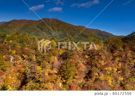 紅葉の宮城鳴子峡大谷川 60172506