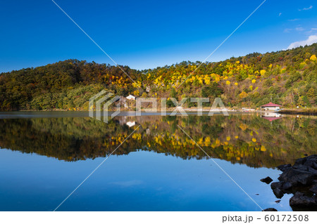 紅葉の宮城鳴子の酸性湖潟沼 60172508