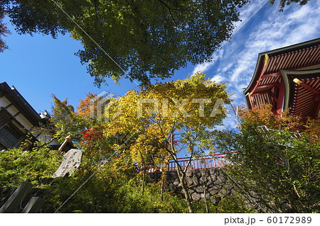 秋の御岳山 御岳神社 秋の御岳山 御岳神社 60172989