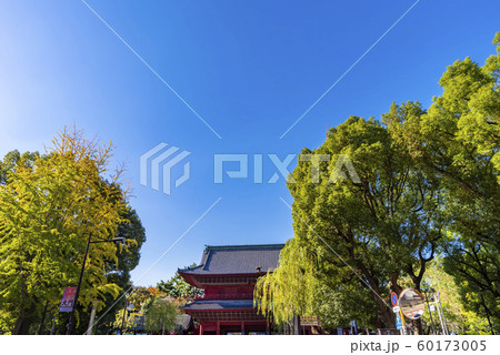 港区 増上寺前の風景 港区 増上寺前の風景 60173005