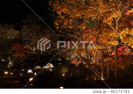 藤江氏魚楽園 60173783