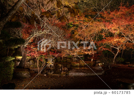 藤江氏魚楽園 60173785