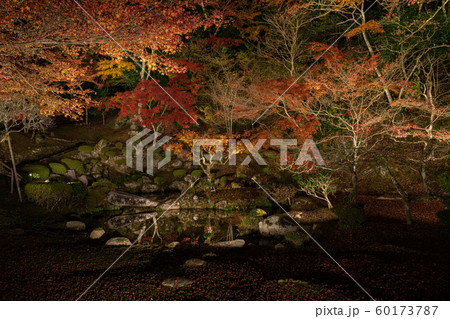 藤江氏魚楽園 60173787