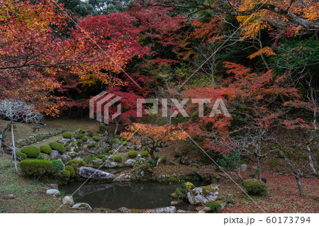 藤江氏魚楽園 60173794
