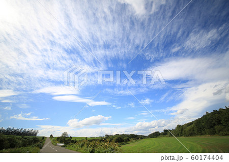 爽快な雲の風景＜空＆畑＆車道＞ 60174404