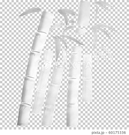 竹（墨水的手繪插圖） 60175336