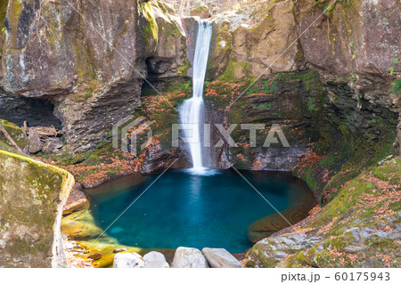 おしらじの滝の秋 60175943