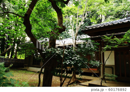 御頭様宅南側、特別緑地保全地区、 御頭様宅南側、特別緑地保全地区、 60176892