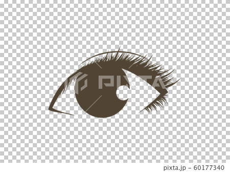 瞳・睫毛のイラスト素材 60177340