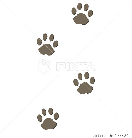 犬の足跡のイラスト素材