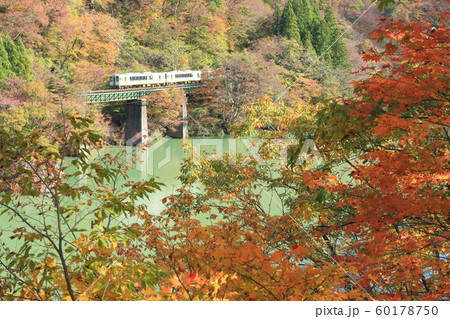 磐越西線「山間部の紅葉と阿賀野川沿いを走る列車」 磐越西線「山間部の紅葉と阿賀野川沿いを走る列車」 60178750